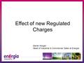 Effect of new Regulated Charges Daniel Horgan Head of Industrial & Commercial Sales at Energia.