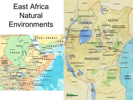 East Africa Natural Environments. Major Land feature? Great Rift Valley - Breaking of Earth crust in East Africa.