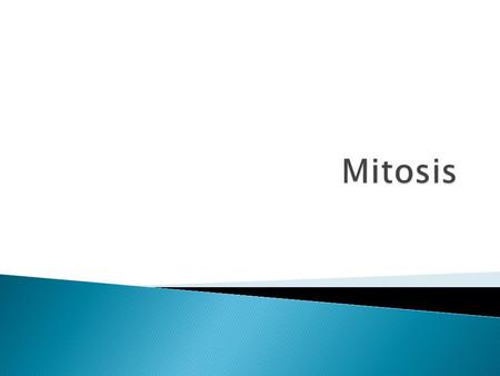 Title: Mitosis 8 th January 2014 Learning question: What are the names of the stages of mitosis? What connects these pictures? (Can you write more than.