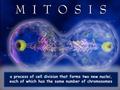 A process of cell division that forms two new nuclei, each of which has the same number of chromosomes.