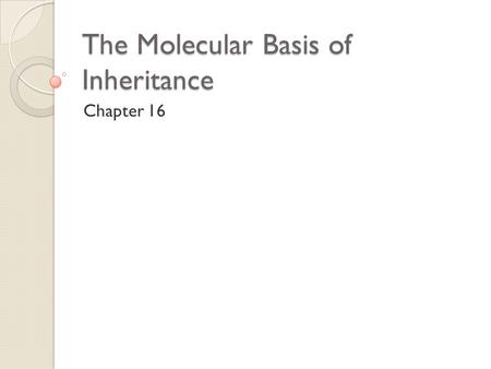 The Molecular Basis of Inheritance Chapter 16. The DNA Story Once the chromosomal theory of inheritance was widely accepted, scientists turned their attention.