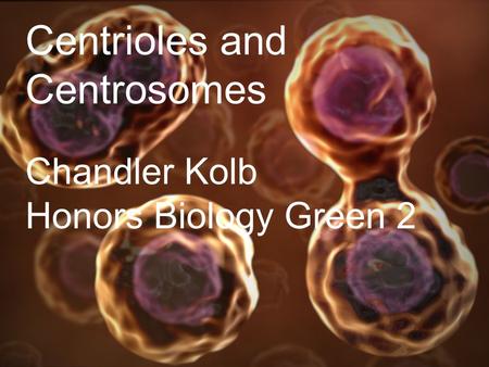 Centrioles and Centrosomes Chandler Kolb Honors Biology Green 2.