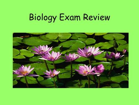 Biology Exam Review. Organic Compounds All living things are made of organic compounds. These contain the element Carbon The most abundant elements in.