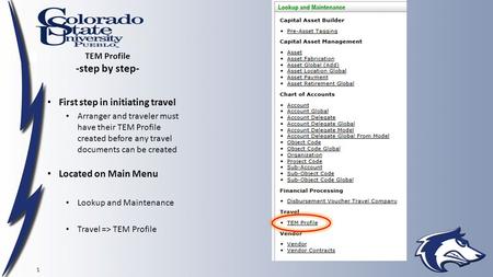 TEM Profile -step by step- First step in initiating travel Arranger and traveler must have their TEM Profile created before any travel documents can be.