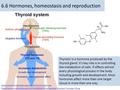 Https://commons.wikimedia.org/wiki/File:Thyroid_system.svg https://commons.wikimedia.org/wiki/File:%28S%29-Triiodthyronine_Structural_Formulae_V2.svg 6.6.