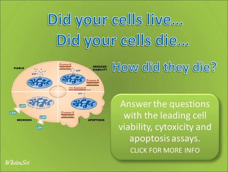 Answer the questions with the leading cell viability, cytoxicity and apoptosis assays. CLICK FOR MORE INFO WhiteSci.