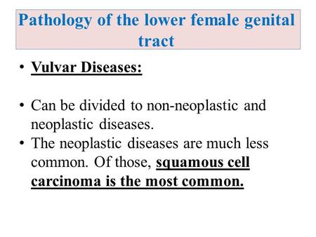 Pathology of the lower female genital tract Vulvar Diseases: Can be divided to non-neoplastic and neoplastic diseases. The neoplastic diseases are much.