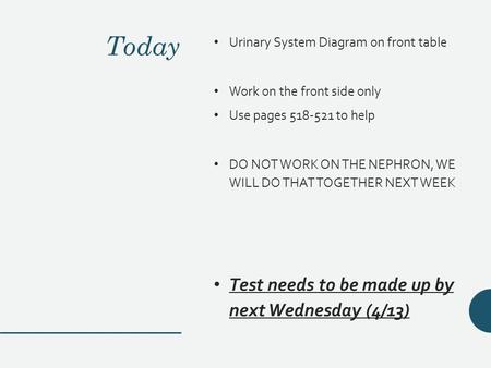 Today Urinary System Diagram on front table Work on the front side only Use pages 518-521 to help DO NOT WORK ON THE NEPHRON, WE WILL DO THAT TOGETHER.