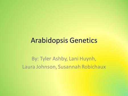 Arabidopsis Genetics By: Tyler Ashby, Lani Huynh, Laura Johnson, Susannah Robichaux.