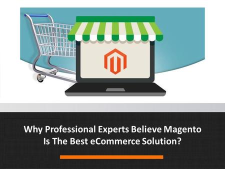 Why Professional Experts Believe Magento Is The Best eCommerce Solution?