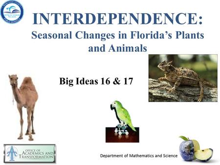 INTERDEPENDENCE: Seasonal Changes in Florida’s Plants and Animals Big Ideas 16 & 17.