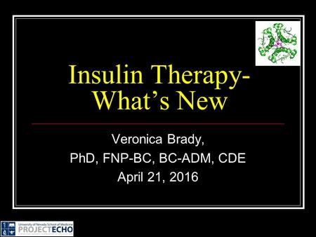 Insulin Therapy-What’s New