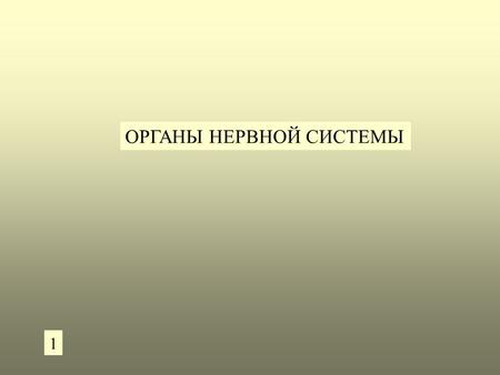 ОРГАНЫ НЕРВНОЙ СИСТЕМЫ 1. Спинальный ганглий Псевдоуниполярные клетки спинальных ганглиев.