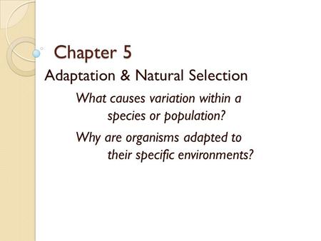 Chapter 5 Adaptation & Natural Selection What causes variation within a species or population? Why are organisms adapted to their specific environments?