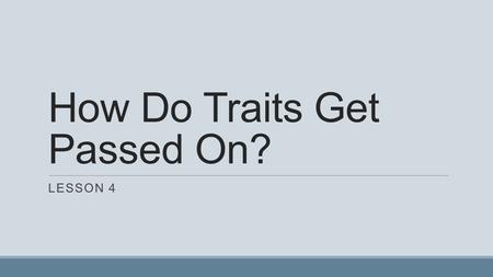 How Do Traits Get Passed On? LESSON 4. Move to which corner you think is correct for each question Can offspring get instructions for the variation of.