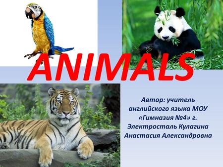 ANIMALS Автор: учитель английского языка МОУ «Гимназия №4» г. Электросталь Кулагина Анастасия Александровна.