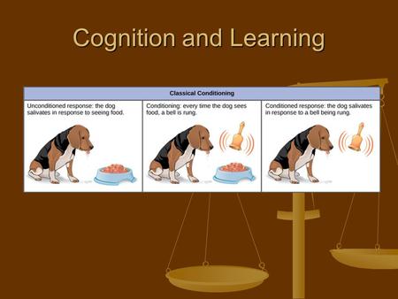 Cognition and Learning. How can you tell if someone is learning? Albert Einstein did not begin to speak until he was three years old. His parents feared.