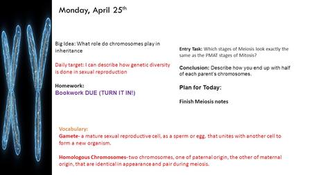 Monday, April 25 th Big Idea: What role do chromosomes play in inheritance Daily target: I can describe how genetic diversity is done in sexual reproduction.