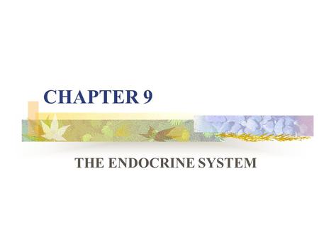 CHAPTER 9 THE ENDOCRINE SYSTEM. Introduction The ENDOCRINE SYSTEM is the SECOND MESSENGER SYSTEM of the body. Along with the NS, the endocrine system.