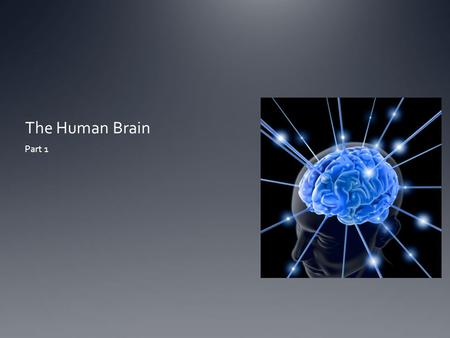 The Human Brain Part 1. Vocabulary -Neuron-A cell that is the functional unit of the nervous system. -Dendrite - Is the branching process of a neuron.