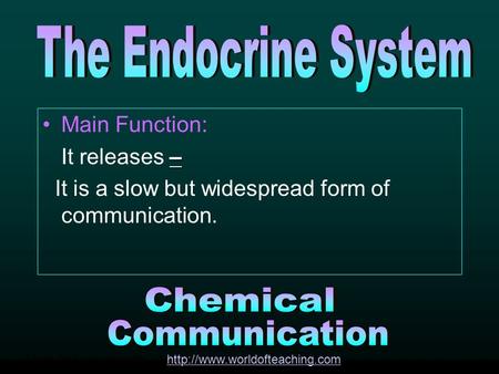 Main Function: – It releases – It is a slow but widespread form of communication. More free powerpoints at