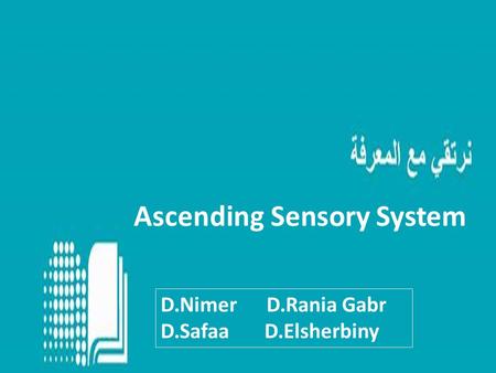 Ascending Sensory System