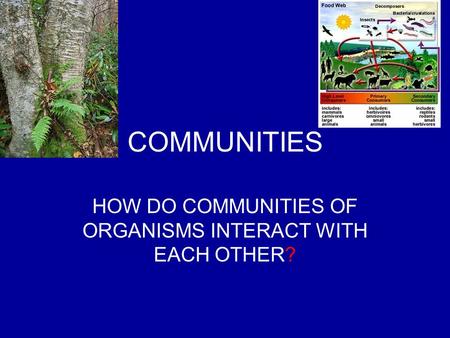 COMMUNITIES HOW DO COMMUNITIES OF ORGANISMS INTERACT WITH EACH OTHER?