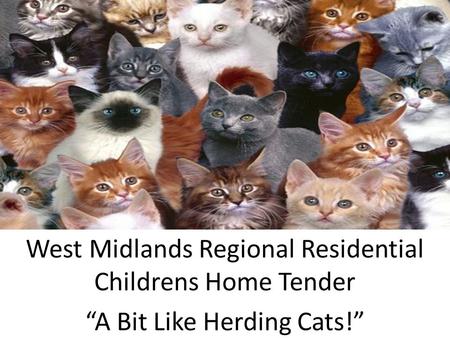 West Midlands Regional Residential Childrens Home Tender “A Bit Like Herding Cats!”