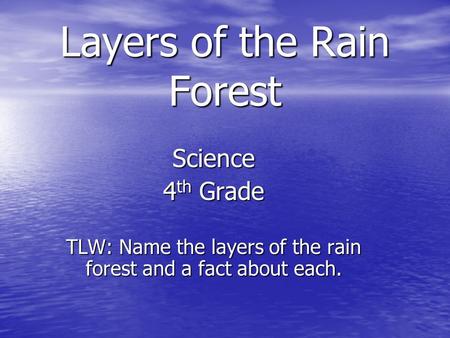 Layers of the Rain Forest