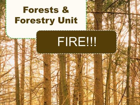 Forests & Forestry Unit FIRE!!!. Objectives Explain the purpose of prescribed fire Describe the different types of forest fires Identify sources of forest.