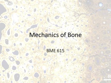 Mechanics of Bone BME 615.