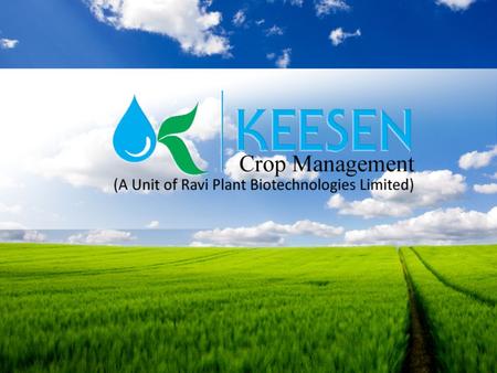 Ravi plant biotechnologies Limited –RPBL was incorporated in 2004 and created small pesticides formulation unit near Baroda with a capacity of 2 KL per.