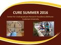 CURE SUMMER 2016 Center for Undergraduate Research Excellence Bethune- Cookman University.