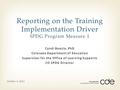 Cyndi Boezio, PhD Colorado Department of Education Supervisor for the Office of Learning Supports CO SPDG Director Reporting on the Training Implementation.