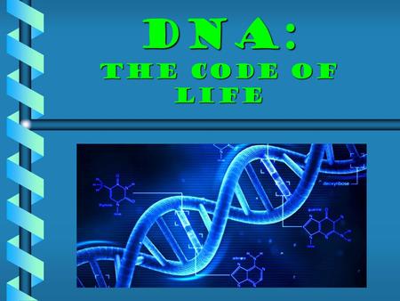 DNA: the code of life. A. DNA  Contains the genetic information for cells to make proteins. 1)Proteins determine a variety of traits, from hair color.