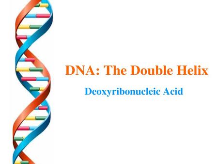 The Cells Genetic Library Information to make a living organism is stored in chromosomes like information/facts are stored in a library. Chromosomes can.