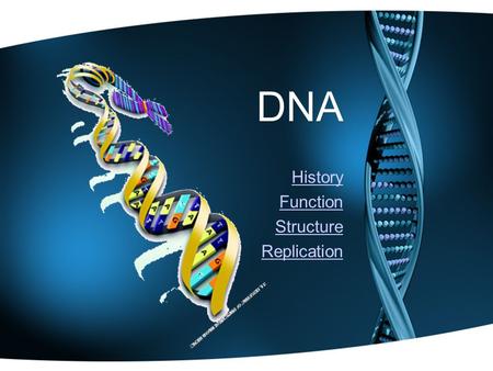 DNA History Function Structure Replication. History - Structure Erwin Chargaff –1950’s Discovered that the amount of A is always equal to the amount of.