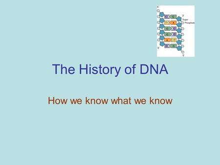 The History of DNA How we know what we know Scientific History The march to understanding that DNA is the genetic material –T.H. Morgan (1908) –Frederick.