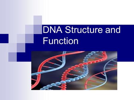 DNA Structure and Function. What is DNA? DeoxyriboNucleic Acid DNA is a Nucleic Acid The main job of DNA is to make PROTEINS. Proteins build your body,