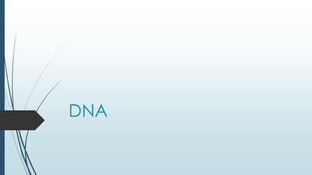 DNA. Biomolecules – Remember 1.Carbohydrates 2.Lipids 3. Nucleic acids – hold genetic information; code for proteins 4.Proteins.