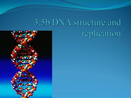 POINT > Describe the structure of DNA POINT > Identify the three parts of a nucleotide POINT > Identify the 4 nucleotides in DNA POINT > Explain how the.