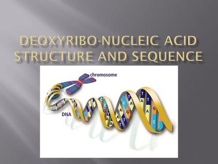 DNA was discovered(?) by James Watson and Francis Crick in 1953. Theorized by Gregor Mendel in the mid 1800s.