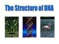 DNA (Deoxyribonucleic Acid) A. DNA 1.Determines traits and codes for proteins 2.Found in nucleus of the cell Pg. 129.