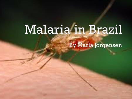 By Maria Jorgensen.  Malaria is a serious and sometimes fatal disease caused by a parasite that infects a certain type of mosquito which feeds on humans.