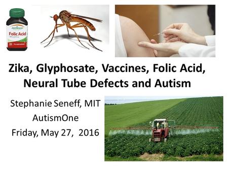 Zika, Glyphosate, Vaccines, Folic Acid, Neural Tube Defects and Autism