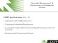 Centre for Development & Enhancement of Professional Practice CDEPP Key Work Areas 2011 – 12 Organisational & Staff Development Continuing Professional.