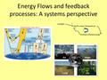 Energy Flows and feedback processes: A systems perspective.