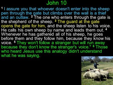 John 10 1 I assure you that whoever doesn't enter into the sheep pen through the gate but climbs over the wall is a thief and an outlaw. 2 The one who.