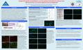 Methods Introduction Results Collagen XVII-specific autoantibodies in sera from patients with Parkinson's disease reacts with the neuronal, but not the.