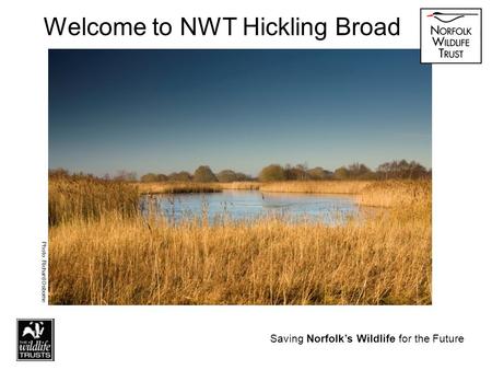 Saving Norfolk’s Wildlife for the Future Welcome to NWT Hickling Broad Photo: Richard Osborne Saving Norfolk’s Wildlife for the Future.